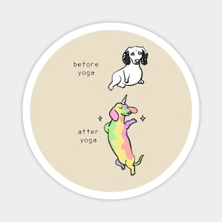 Before after yoga dachshund Magnet